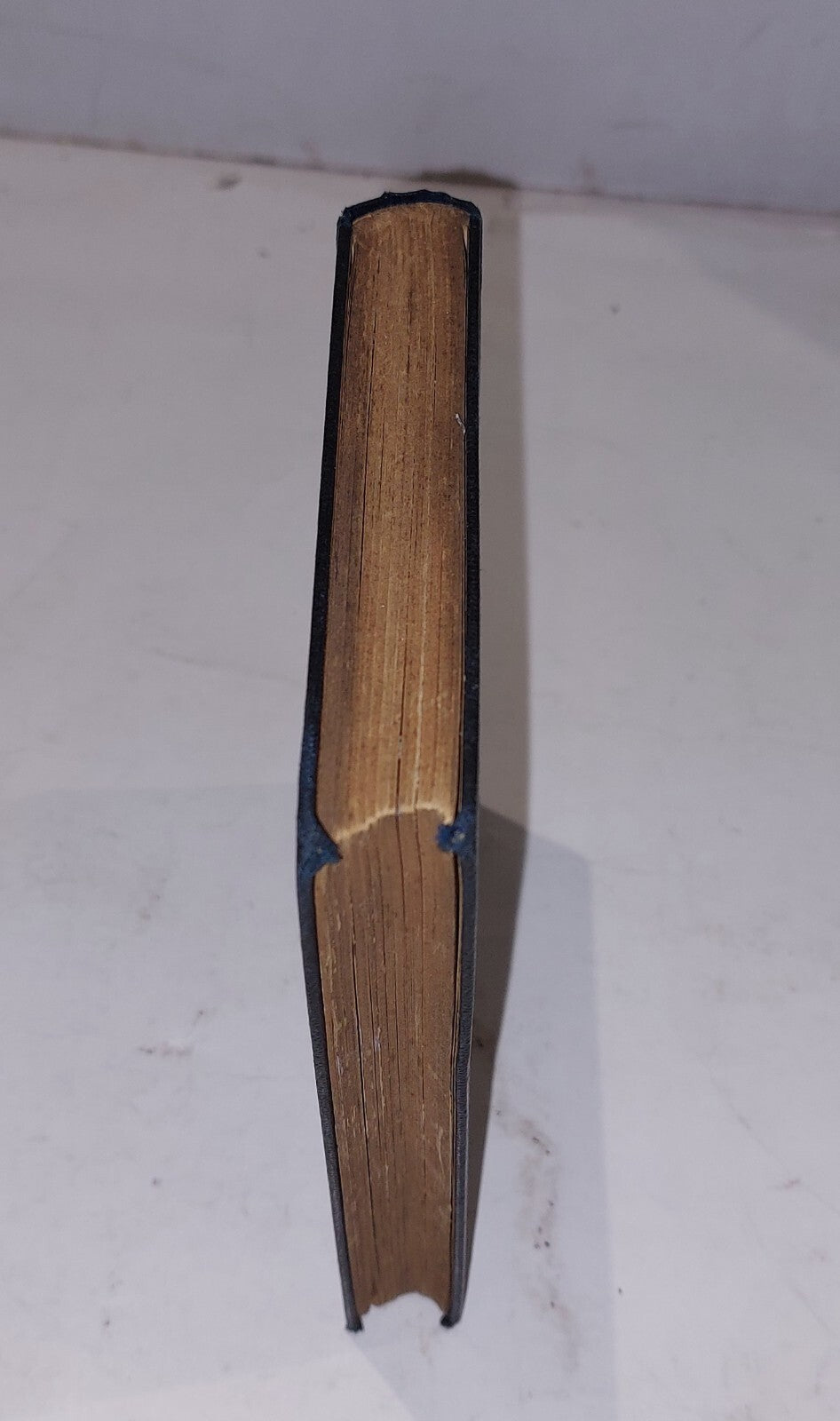 Bishop Doyle "J.K.L" biographical & Historical Study Macdonagh (1896) Book1