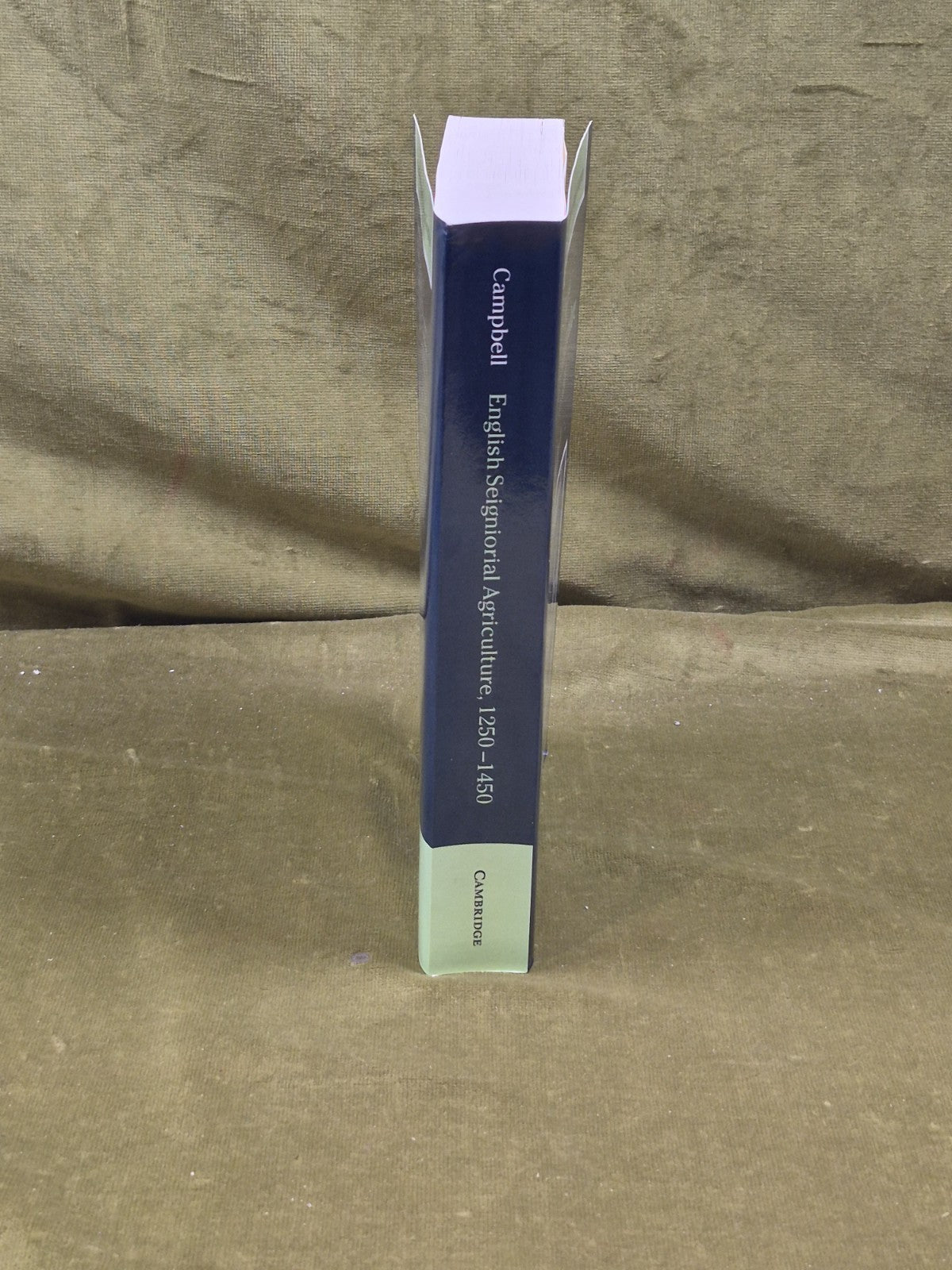 English Seignorial Agriculture - Buce M S Campbell , Cambridge 20082