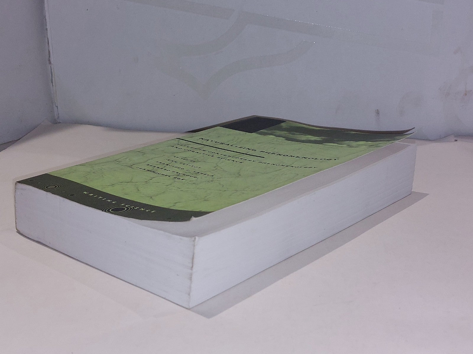 Naturalizing Phenomenology : Contemporary Phenomenology & Cognitive Science 19993