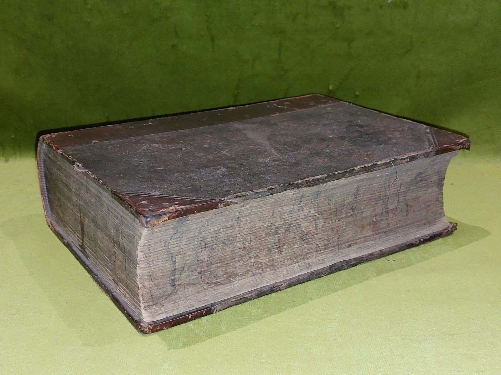 The Gardener’s Assistant Practical and Scientific Gardening 1878 Thompson Moore11