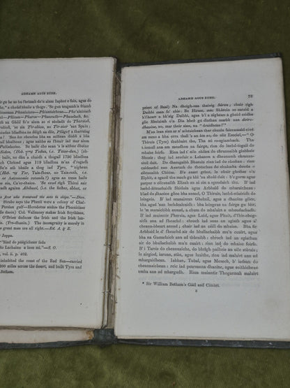 Adhamh Agus Eubh Craobh Sheanachais nam Gael Lachlan 1837 Mac'leon6