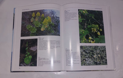 Plantas medicinales o utiles de laflora canaria, Hernadez Perez (2000) Book2