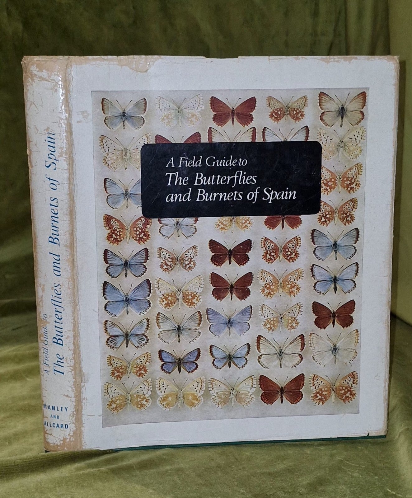 Field Guide to the Butterflies and Burnets of Spain, Manley, W.B.L.,Allcard, H.G0