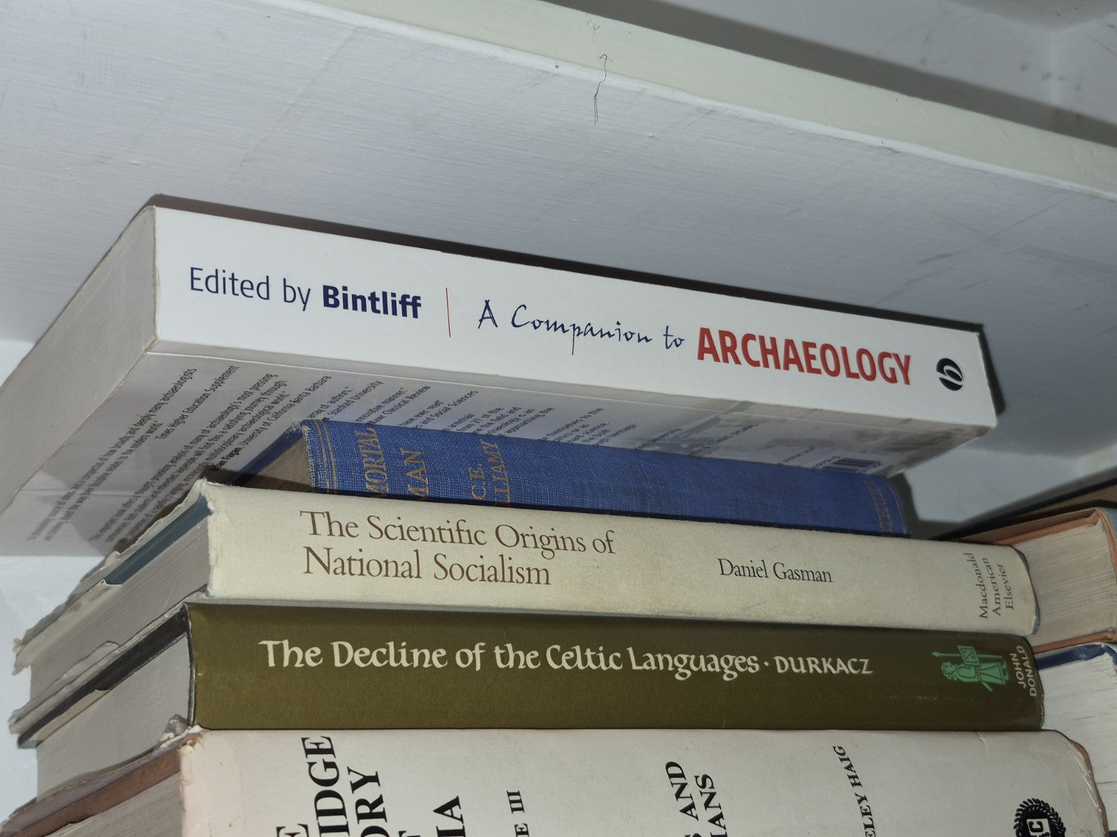 A Companion to Archaeology (2006) John Bintliff7