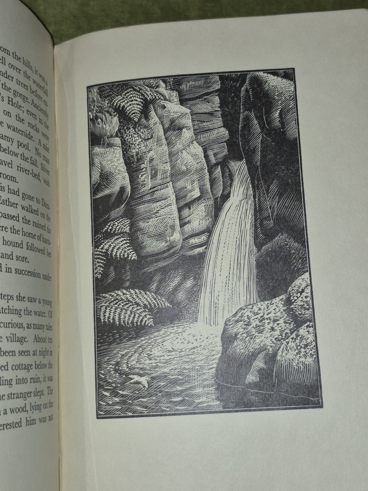 The Star Born Henry Williamson Tunnicliffe Wood Engravings First 19336