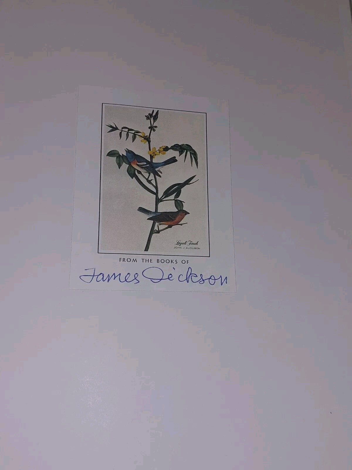 Vegetacion Y Flora De La Palma By Arnoldo Santos Guerra (1983) Hardback Book3