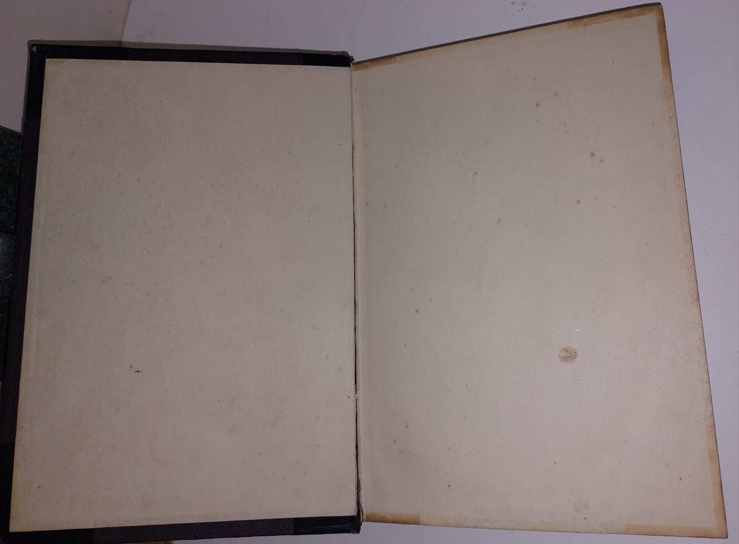 FARTHEST NORTH BY FRIDTJOF NANSEN 1898 TWO VOLUMES LEATHER BOUND 6