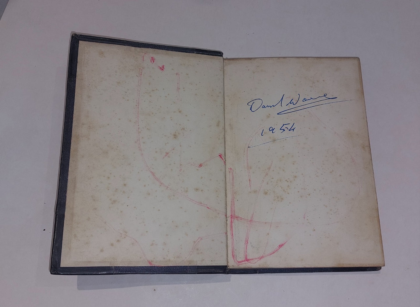 Oak Openings Or, The Beehunter by J. Fenimore Cooper, Quarter Leather Bound Hb2