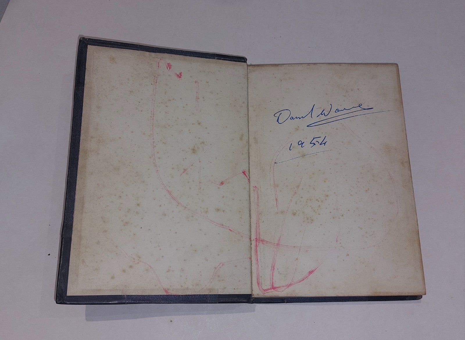 Oak Openings Or, The Beehunter by J. Fenimore Cooper, Quarter Leather Bound Hb2