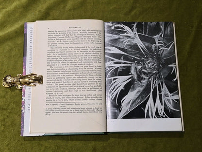Bumblebees - New Naturalist - John B Free & Colin G Butler HB DJ 1968 reprint4