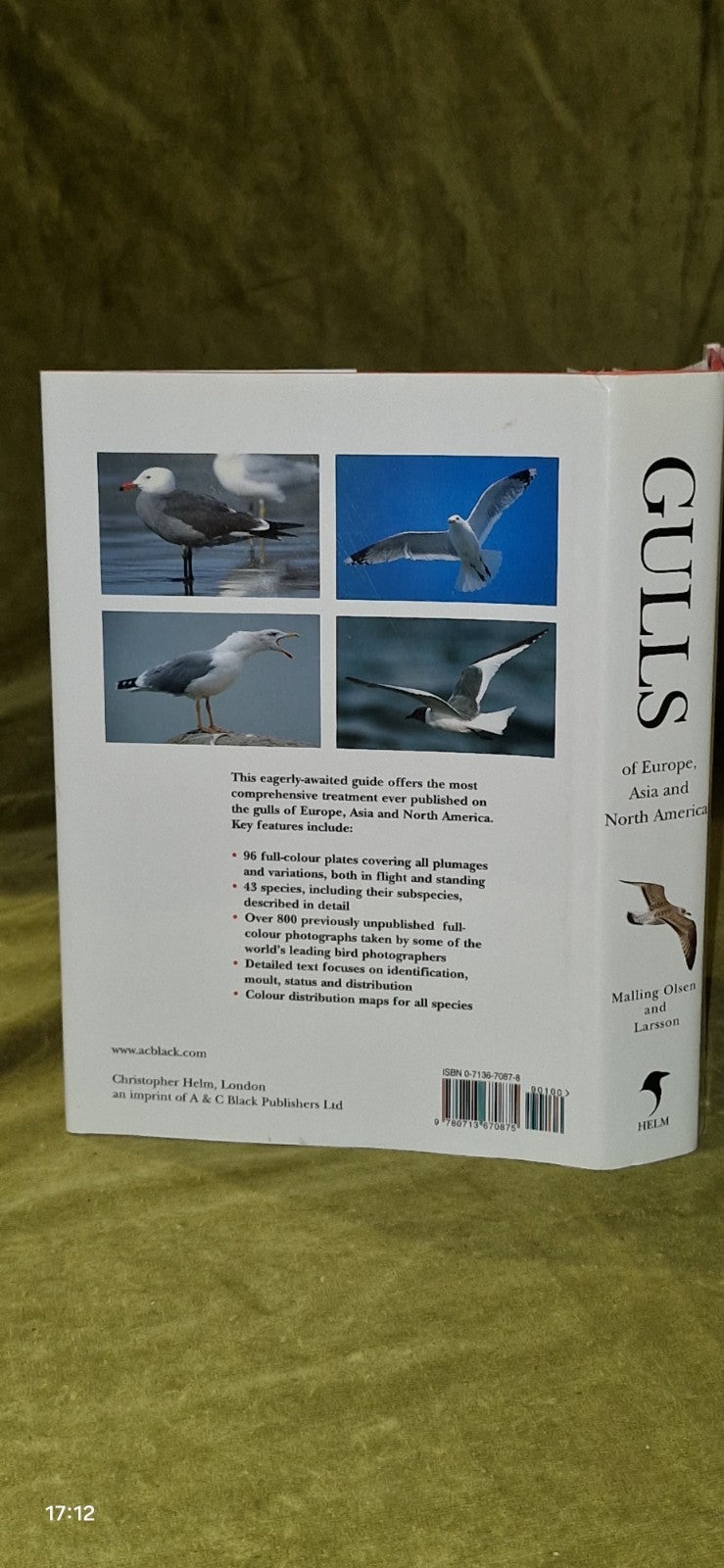 Gulls of Europe, Asia and North America (2005 Hardback) Helm Identification 1