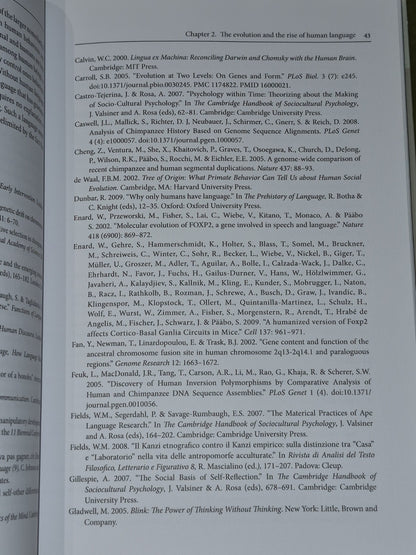 Homo Symbolicus: The Dawn of Language, imagination (2011) Henshilwood, d'Errico5