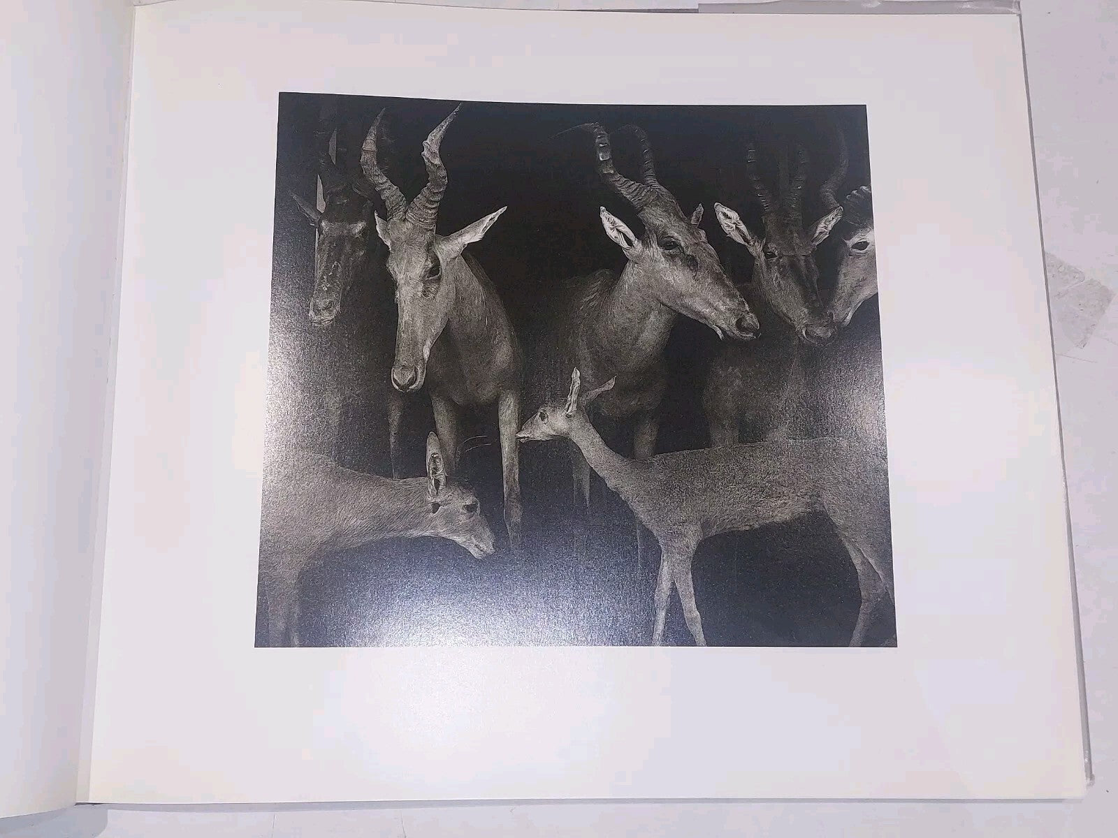 stedernes vaesen / the being of places by per bak jensen (1993) Art Hb Book7