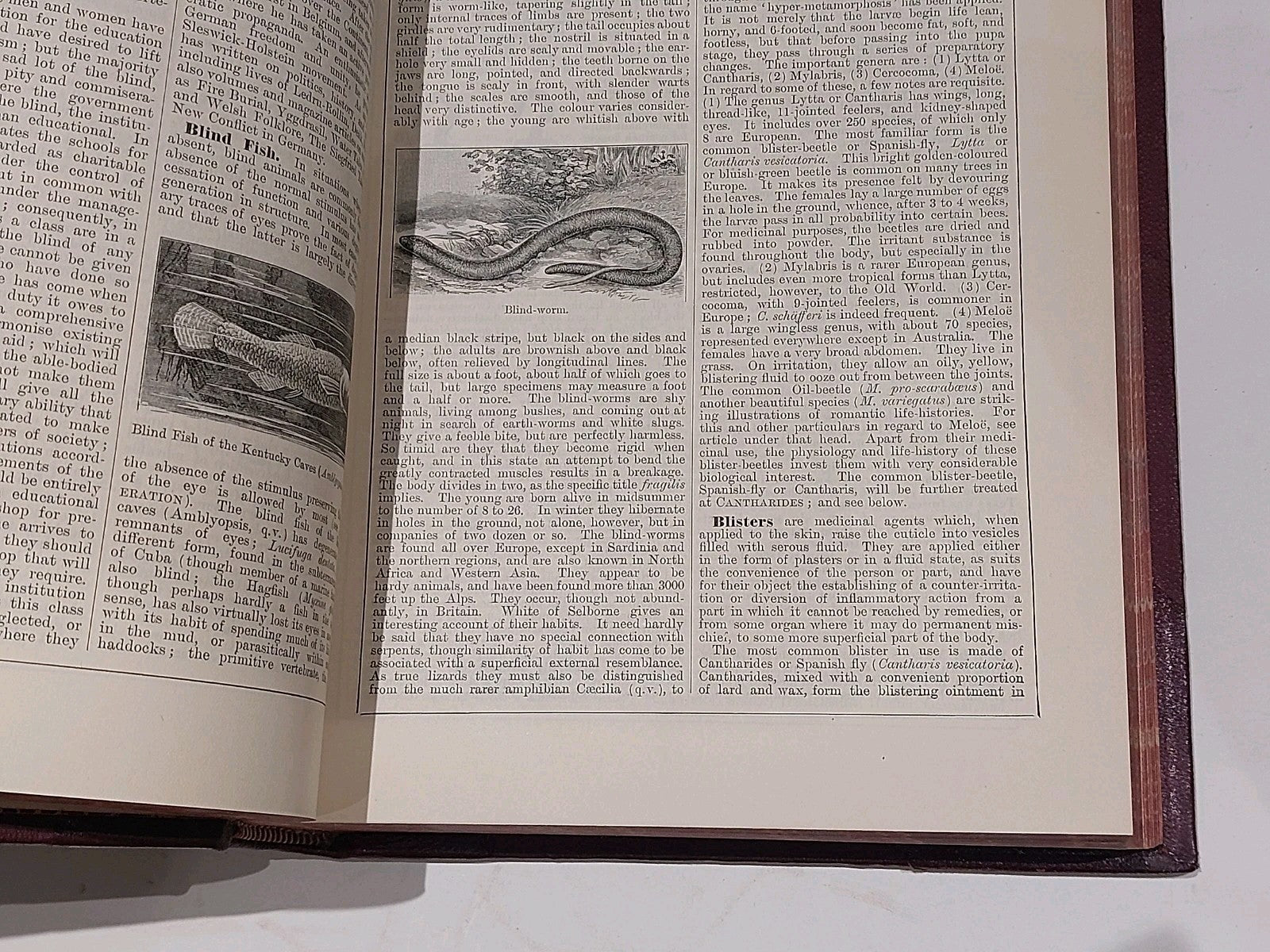 Chamber's Encyclopaedia 10 Vol Set (1901) Heavy Quarter Leather Bound Books13