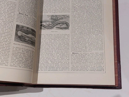 Chamber's Encyclopaedia 10 Vol Set (1901) Heavy Quarter Leather Bound Books13