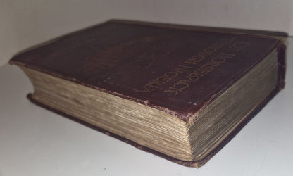 1911 On Horseback Through Nigeria  Folding Map 1st Edition Illustrated.15