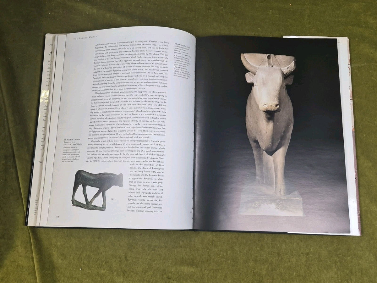 An Egyptian Bestiary by Phillipe Germont 2001 Thames & Hudson HB DJ6