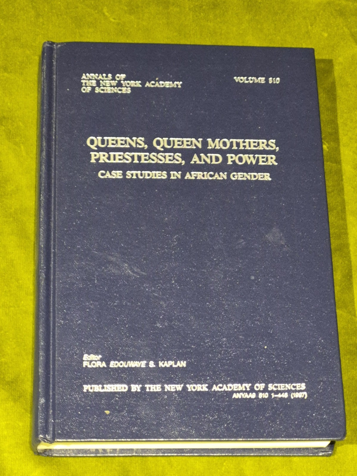 Queens, Queen Mothers, Priestesses, and Power - Flora Edouwaye S Kaplan HB0