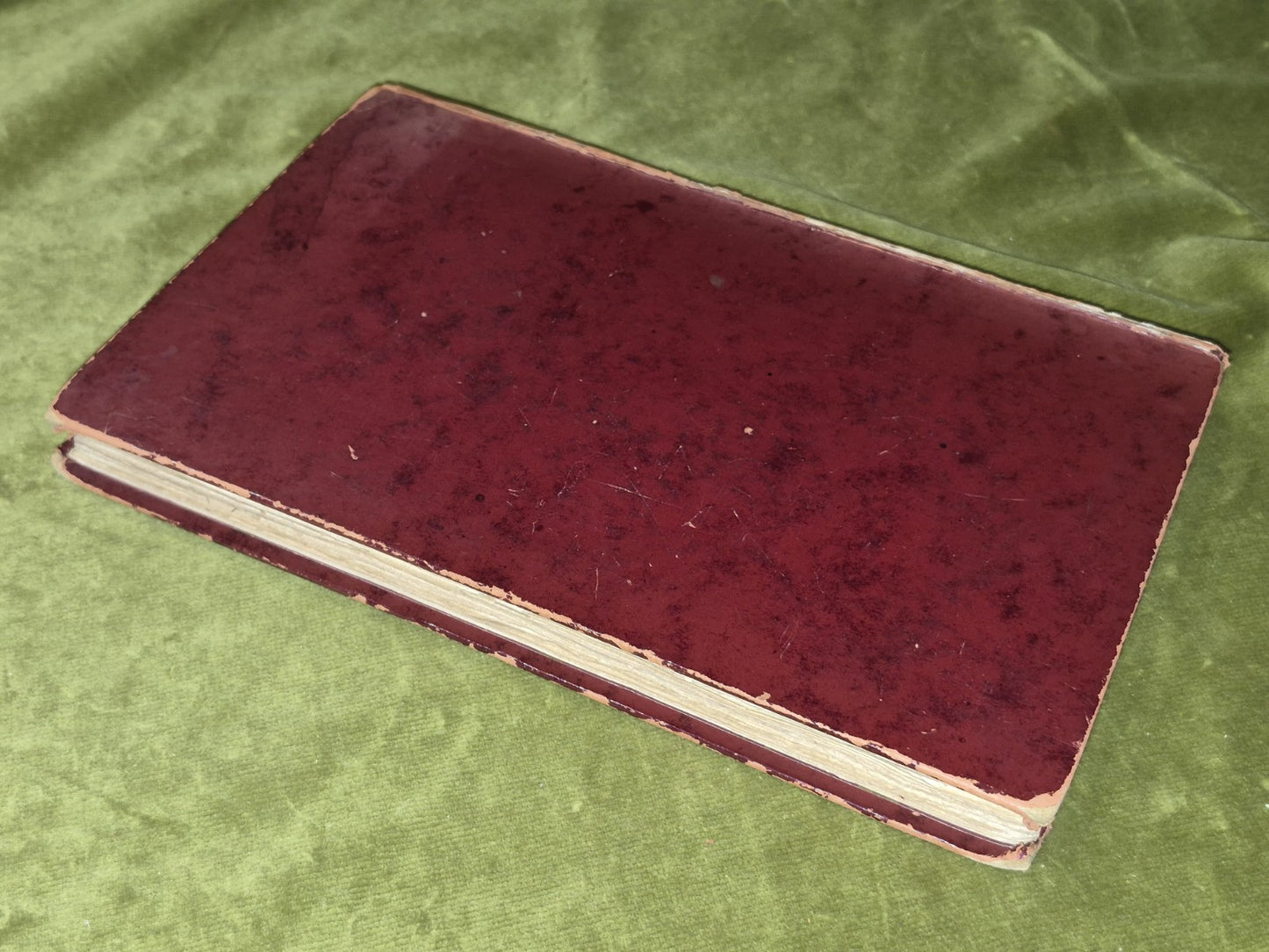 Dante Illustrations and Notes Phoebe Anna Traquair John Sutherland Black 18904