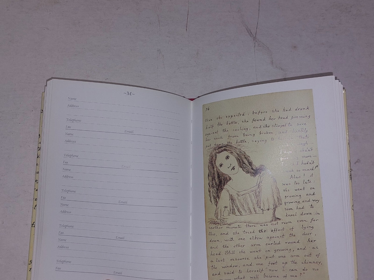 Alice's Adventures Under Ground Address Book [The British Library]4