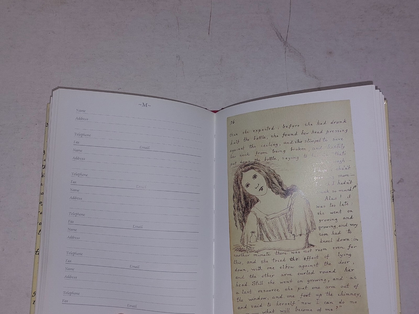 Alice's Adventures Under Ground Address Book [The British Library]4