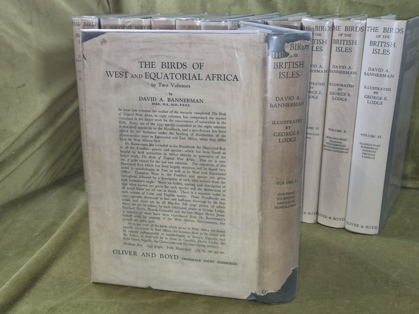 Bannerman The Birds of the British Isles Ornithology  12 Vols 1st Editions DJ3