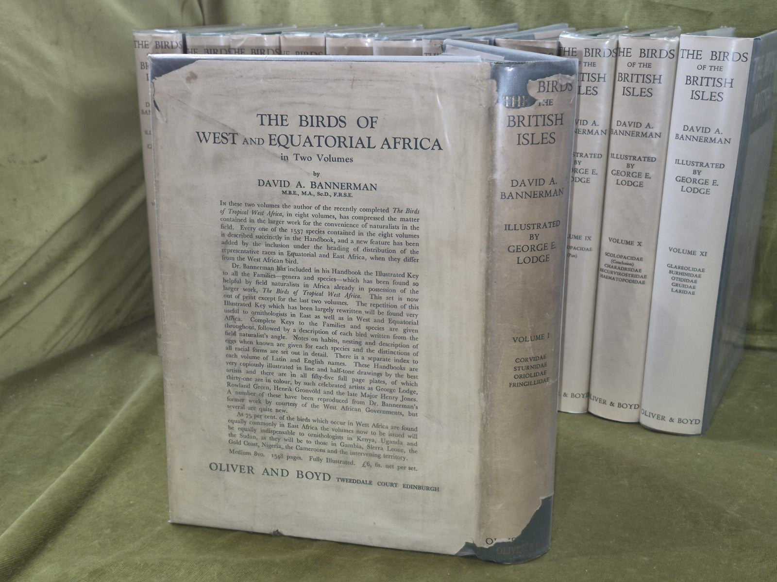 Bannerman The Birds of the British Isles Ornithology  12 Vols 1st Editions DJ3