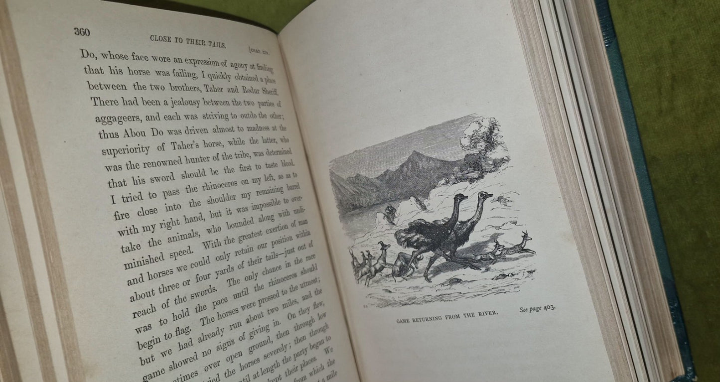 1867 THE NILE TRIBUTARIES OF ABYSSINIA BY BAKER 2 MAPS 24 PLATES & HAMRAN ARABS5