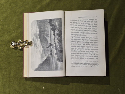 Seasons with the Sea-Horses - James Lamont , Hurst & Blackett 18614