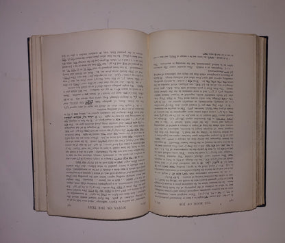 The Book Of Job Revised Text And Version By C J  Ball 19224