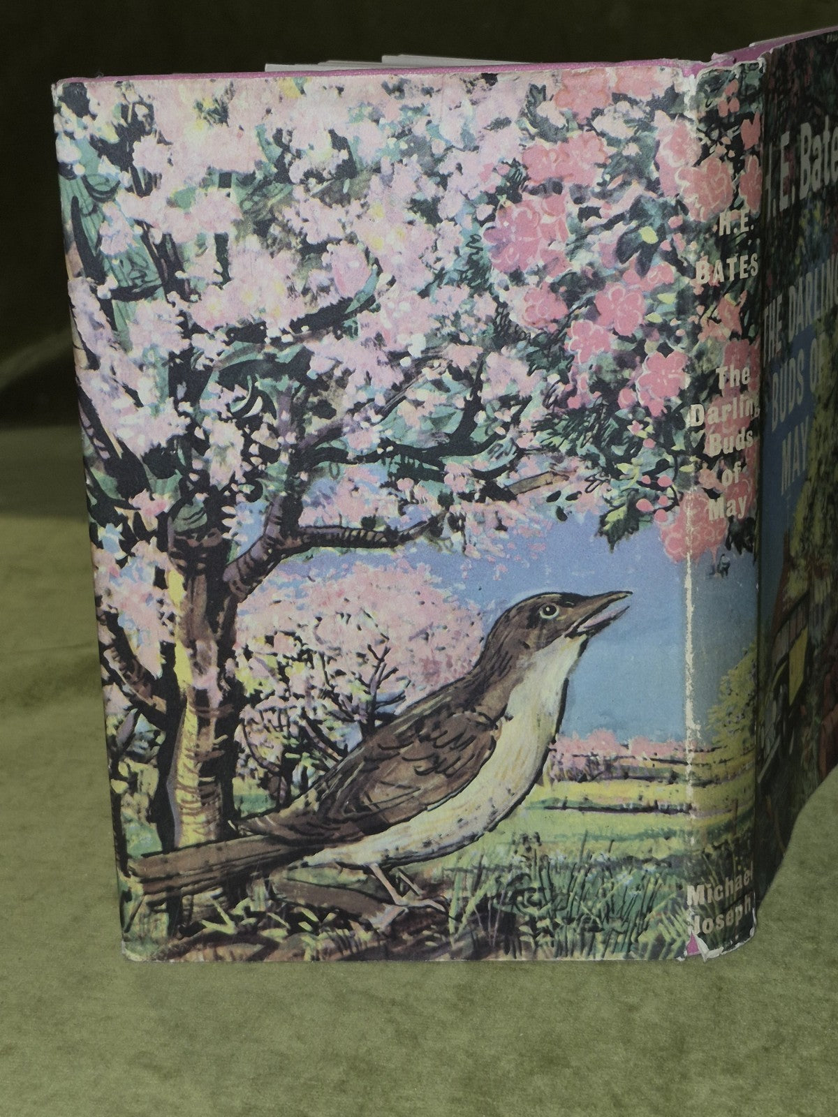 H E BATES / The Darling Buds of May 1st Edition Fifth Impression1