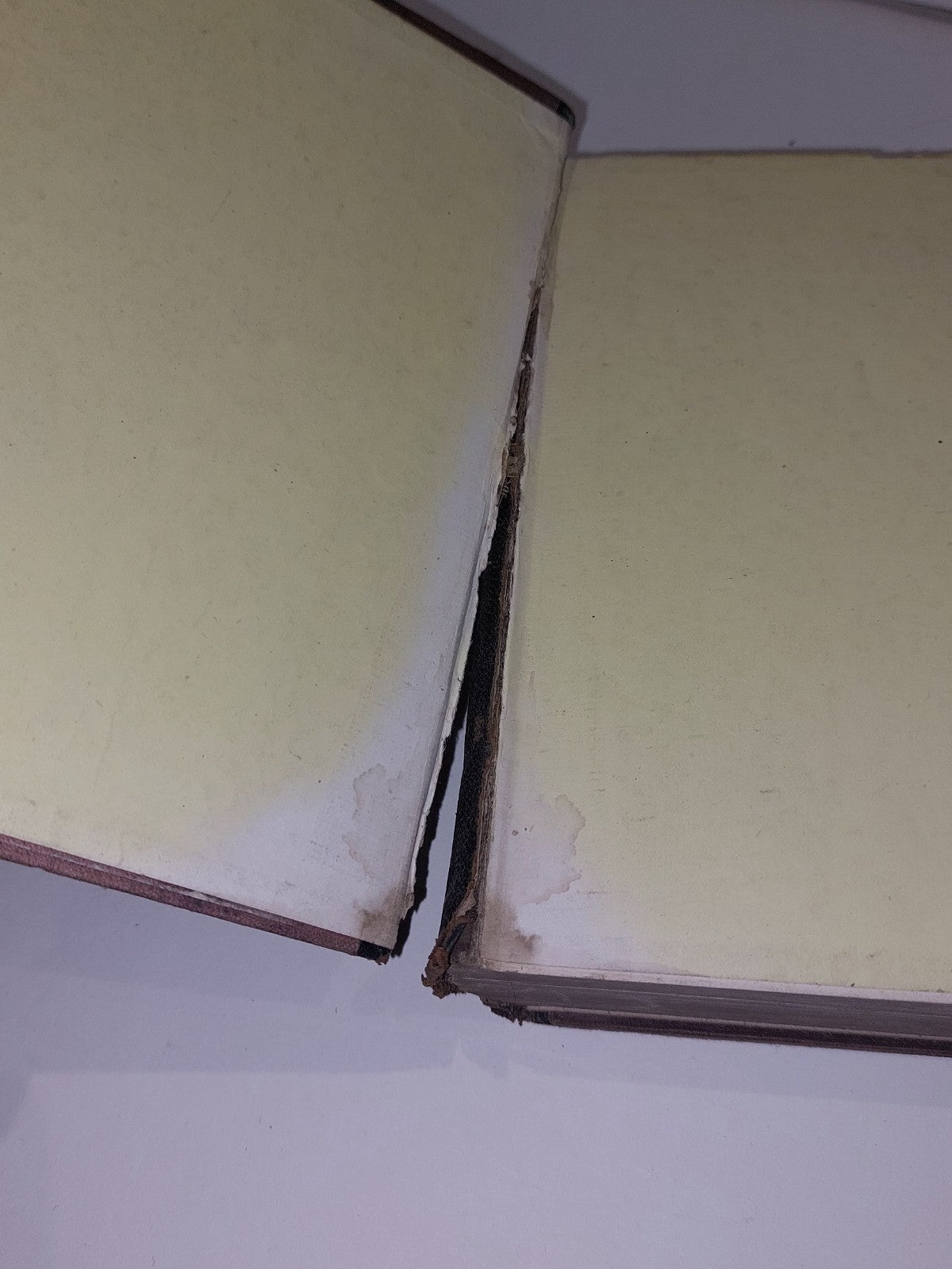 The Highland Sportsman, Sporting guide to Highlands Scotland by Robert Hall 18822