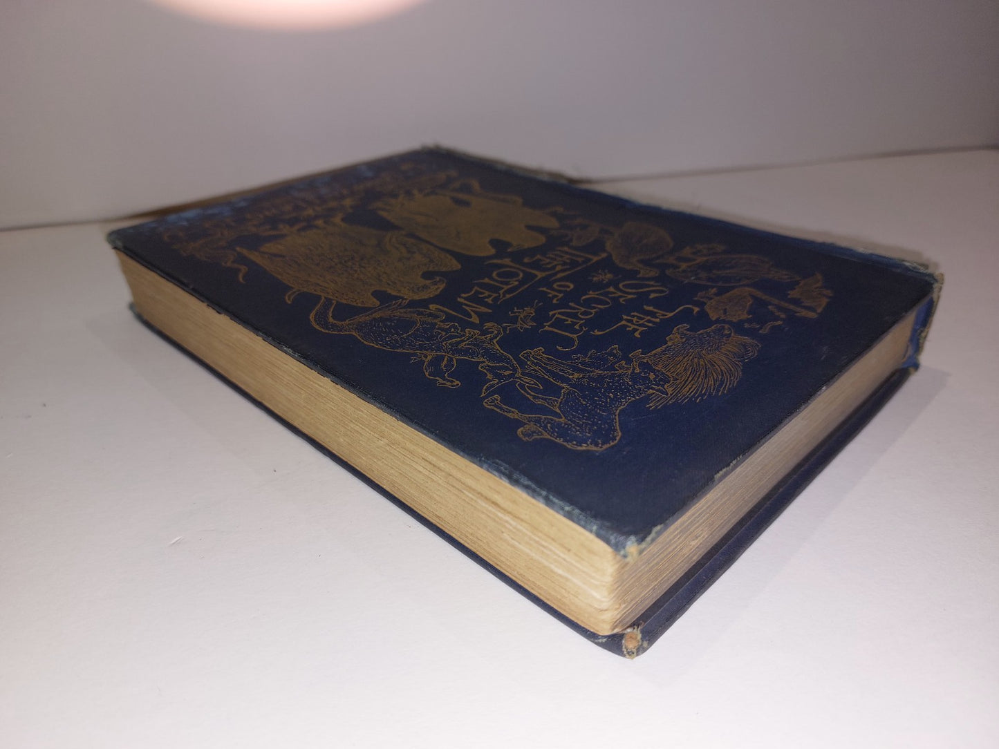 The Secret of the Totem by Andrew Lang (1905 first edition)2