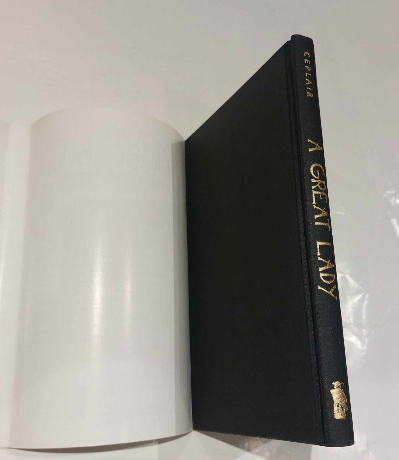 A Great Lady: Life of the Screenwriter Sonya Levien (1996) Book With Dustjacket5