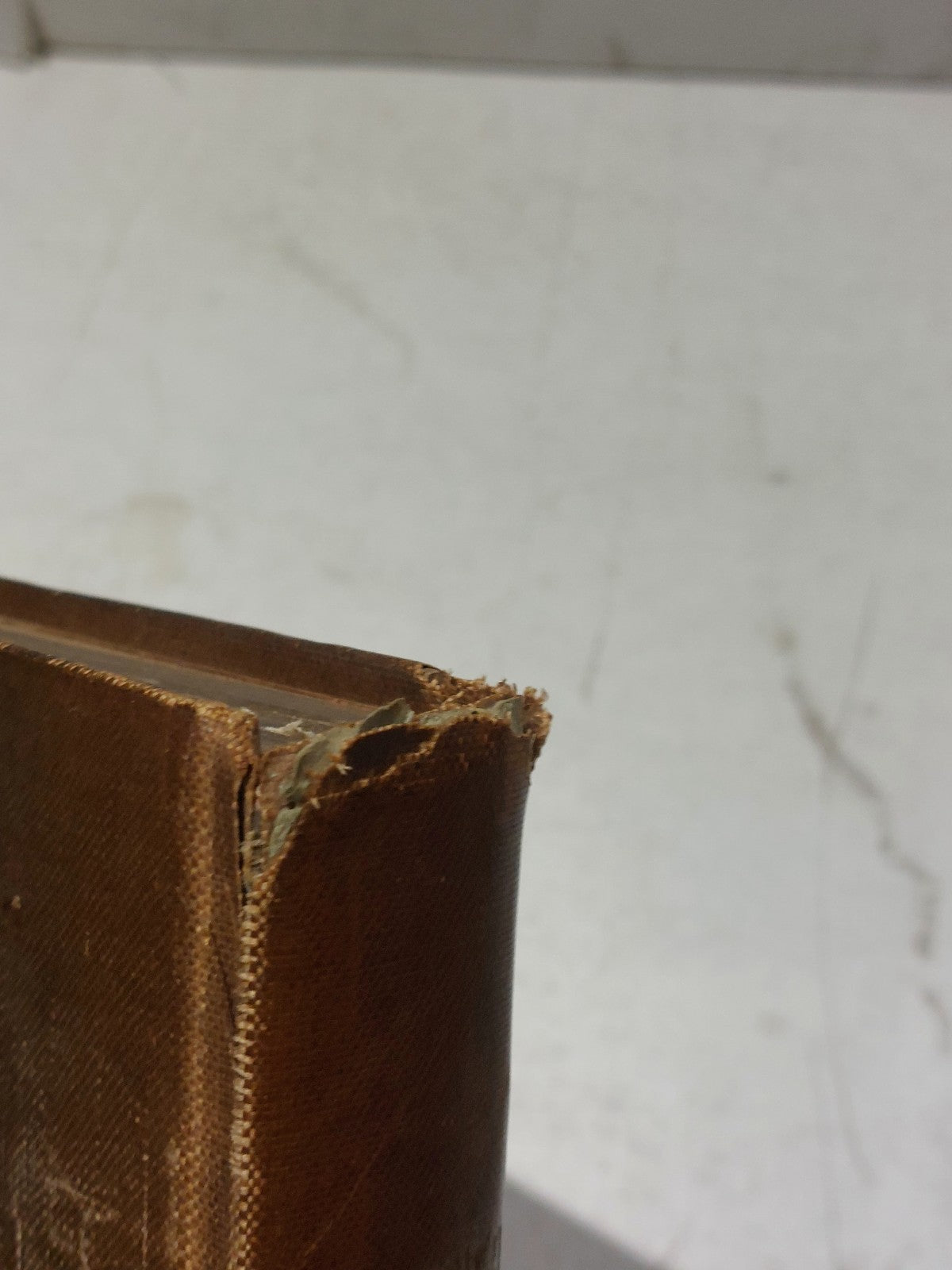 Die Naturlichen pflanzenfamilien By Engler & Pratl (1895) Hb Book2