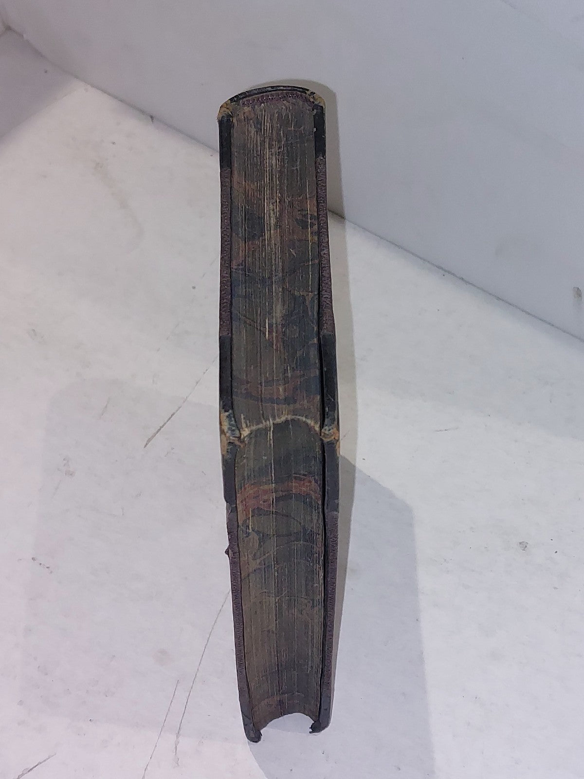 Tammas Bodkin, Or The Humours Of A Scottish Tailor (1864) [John Menzies] Hb Book2