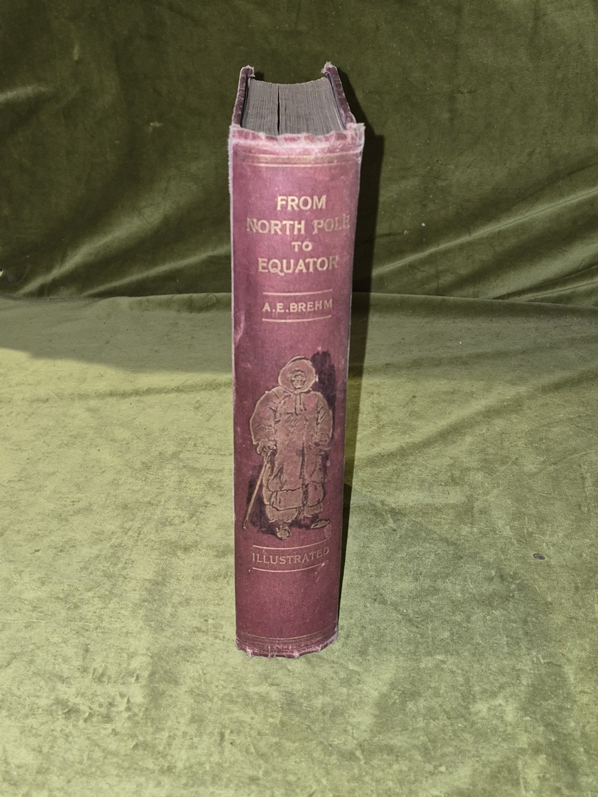 From North Pole To Equator Wild Life And Scenes In Many Lands - Brehm 1st 18972