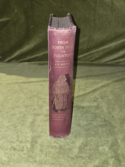 From North Pole To Equator Wild Life And Scenes In Many Lands - Brehm 1st 18972