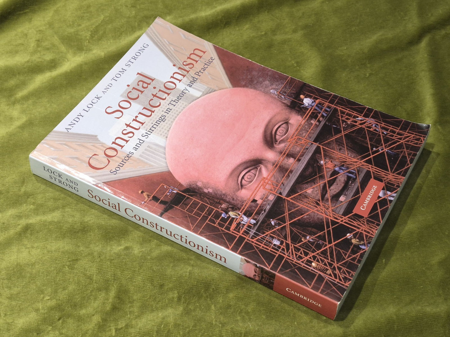 Social Constructionism: Sources and Stirrings (2010 Paperback) Andy  Lock3