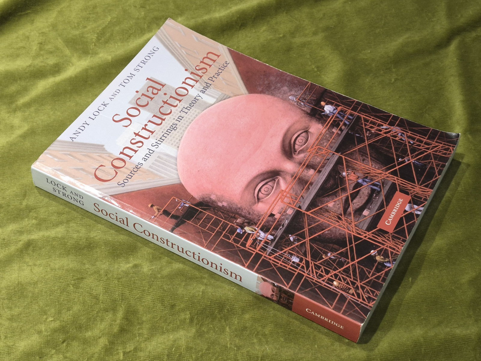 Social Constructionism: Sources and Stirrings (2010 Paperback) Andy  Lock3