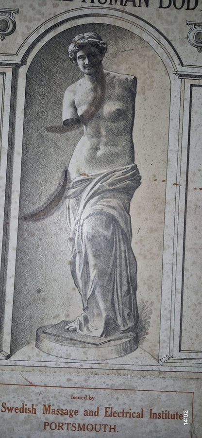 1921 Baillieres Atlas & Anatomy Of The Female Human Body. Swedish Massage Inst.3