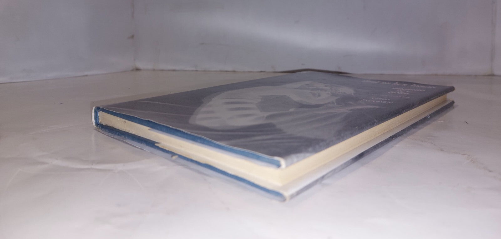 Dust on Her Tongue, Rosa, Rodrigo Rey, Peter Owen Publishers (1989) Book3