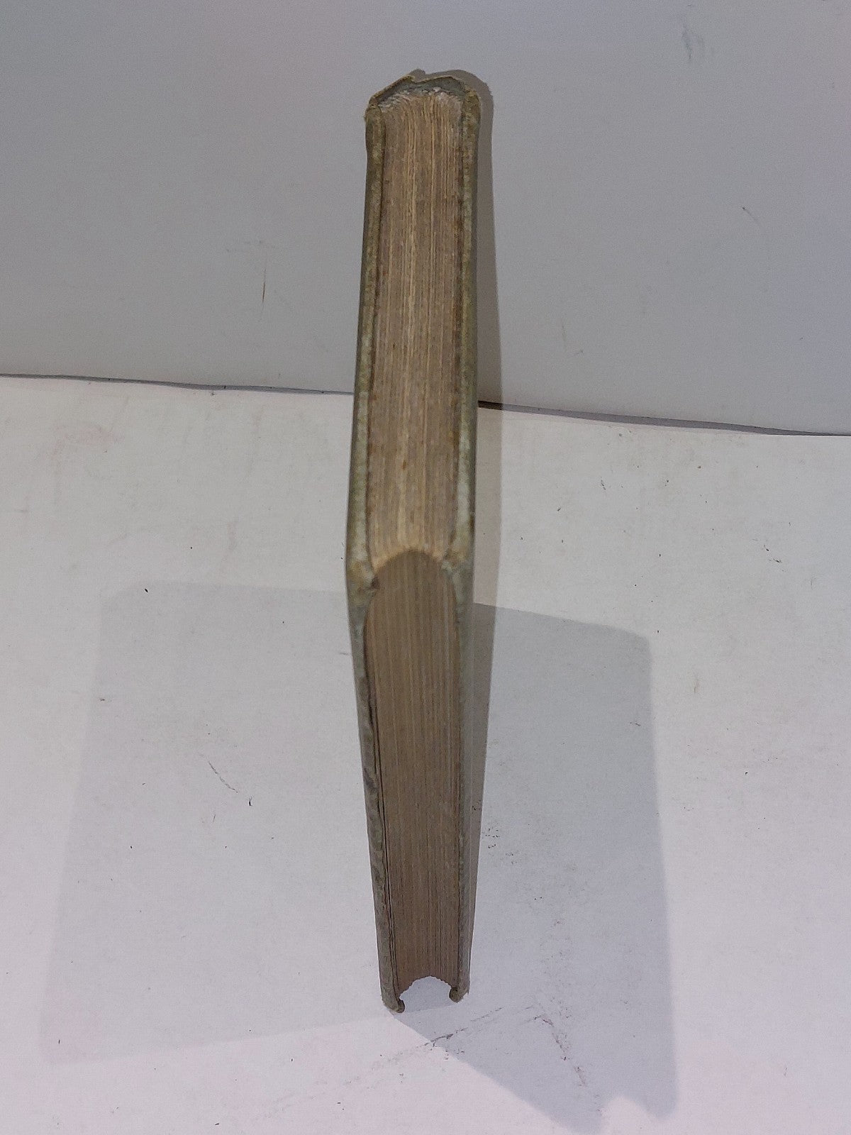 A Cruise on Friesland "Broads" By Hon. Reginald Brougham (1891) 1st Ed Hb Book1