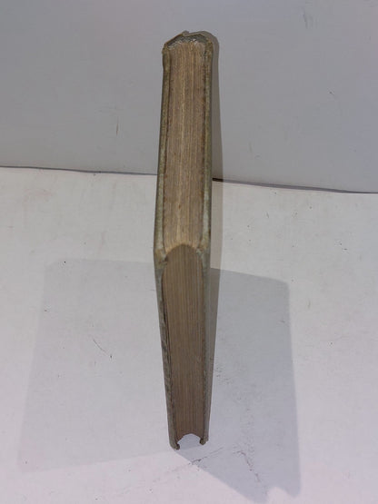 A Cruise on Friesland "Broads" By Hon. Reginald Brougham (1891) 1st Ed Hb Book1