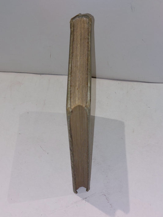 A Cruise on Friesland "Broads" By Hon. Reginald Brougham (1891) 1st Ed Hb Book1