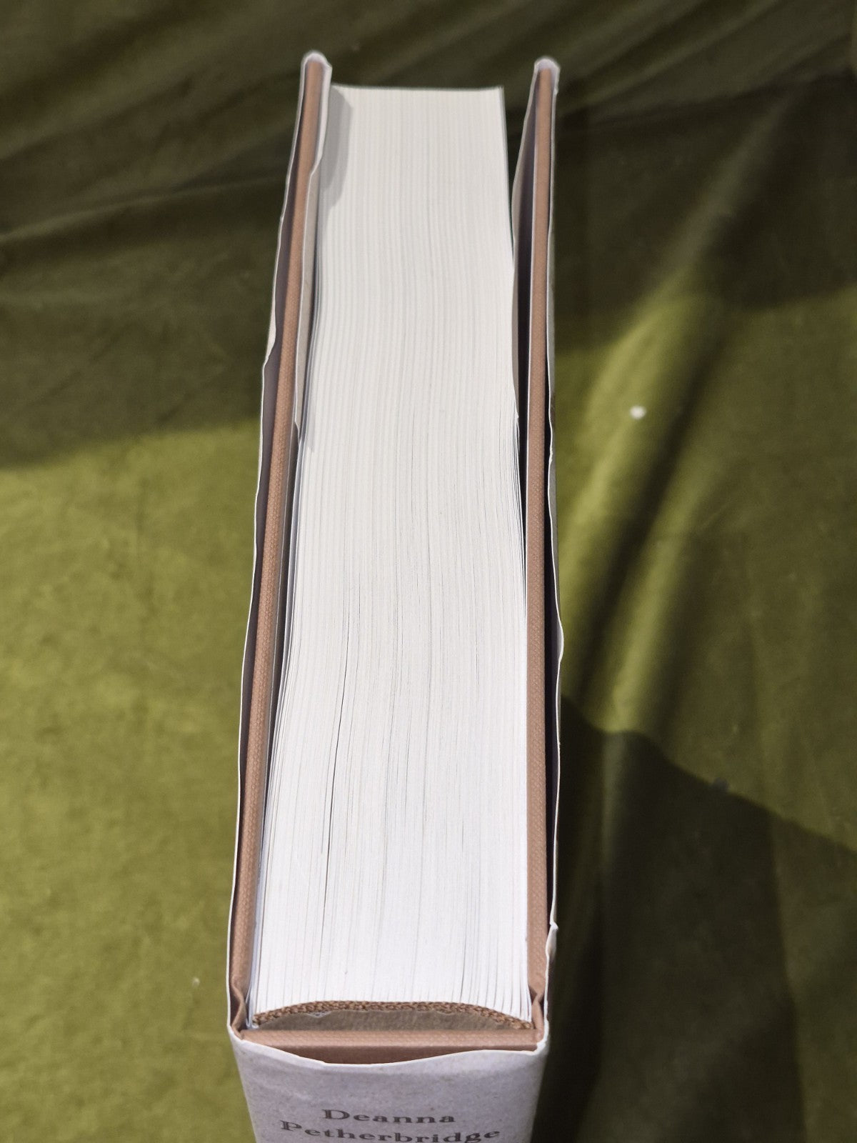 The Primacy of Drawing, by Deanna Petherbridge. Hb. 20103
