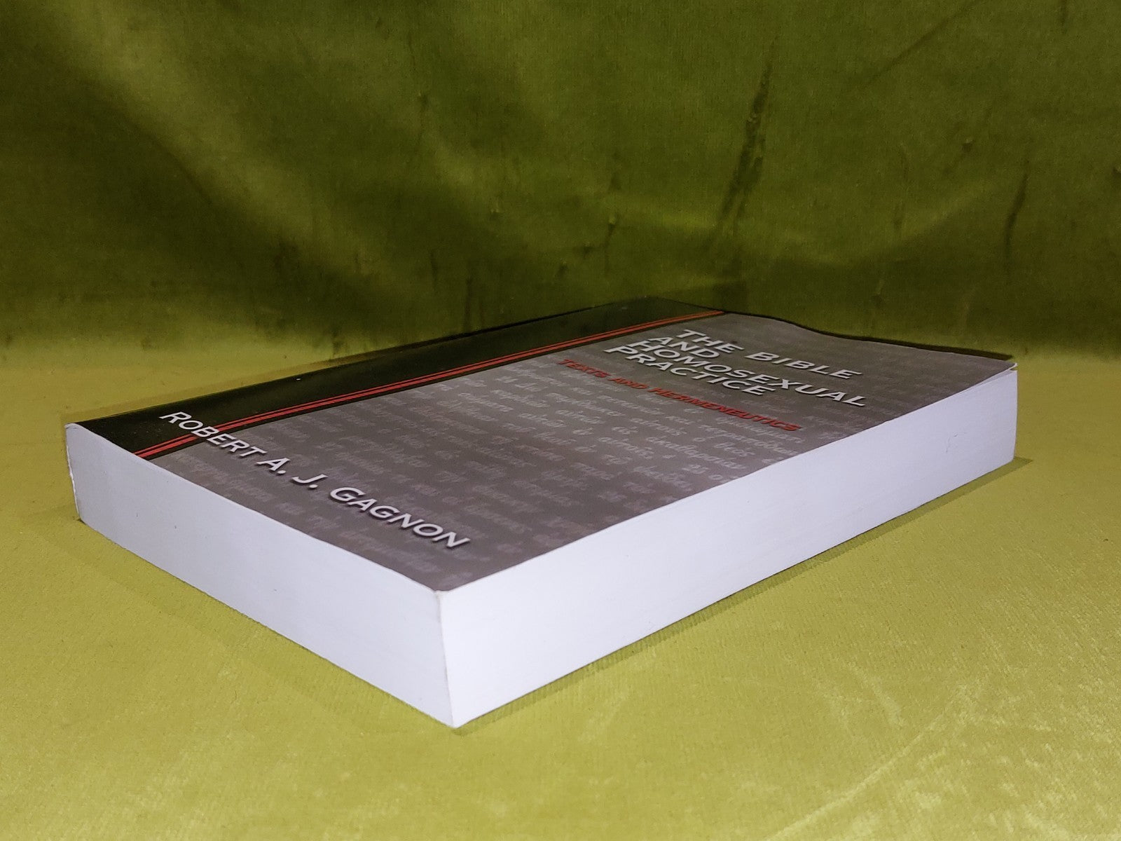 Bible and Homosexual Practice  Robert Gagnon  (2001)2