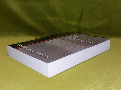 Bible and Homosexual Practice  Robert Gagnon  (2001)2