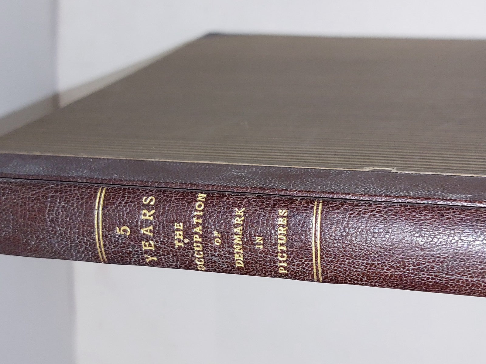 5 Years The Occupation Of Denmark In Pictures By Ernst Mentze (1946)3