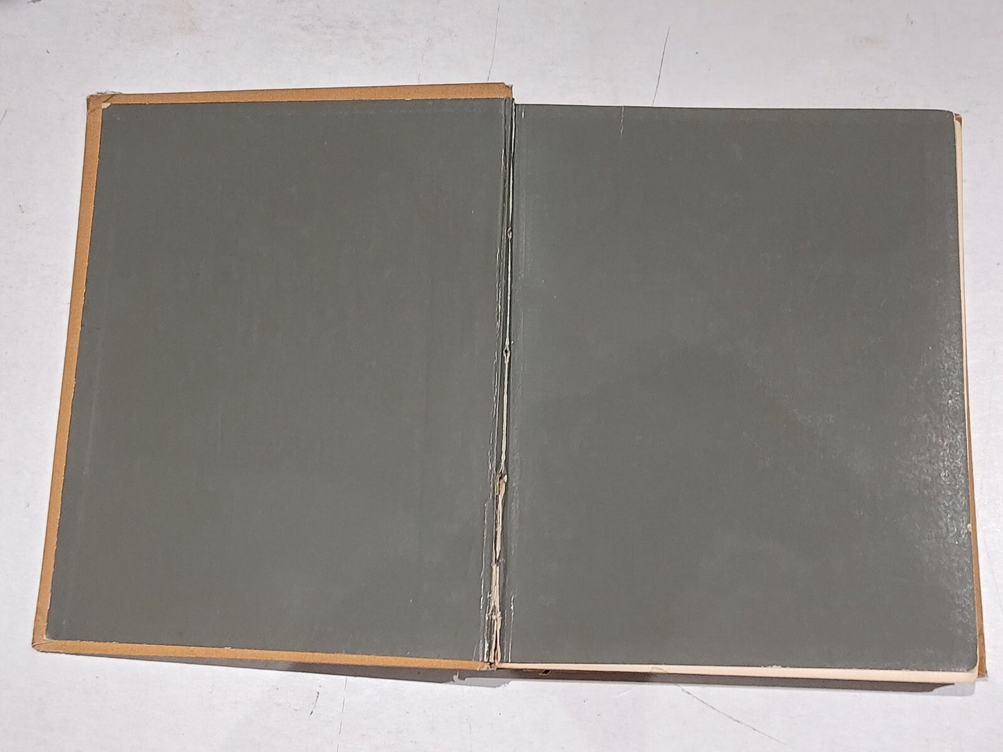 Echoes of the Aesthetic Society Of Jersey City, Thompson & Moreau (1882) Hb Book2